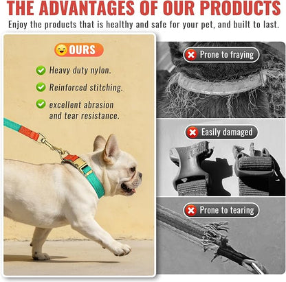 Dog Collar and Leash Set with Metal Quick Release Buckle, Adjustable, Breathable Nylon, Durable, Soft and Comfortable, No Pull for Walking and Training, Cyan, M (12.5"-19.6")