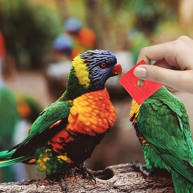 BESPORTBLE Bird Toy Parts, Pack of 100 Wood Blocks for Birds Multicolored Natural Wooden Blocks Bird Chewing Toy Mini Wood Chip Charms for DIY Playing Chewing Bird Toys