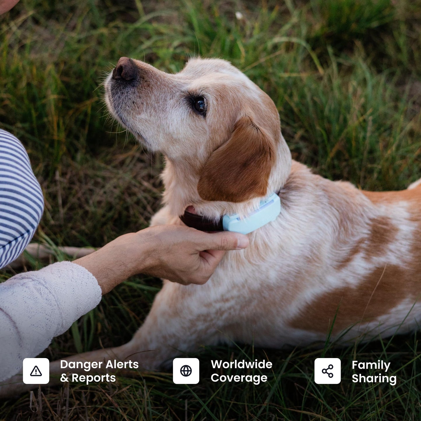 Tractive Smart Dog GPS Tracker | Live Pet Tracker with Virtual Fence | Vital Signs Monitoring of Heart & Respiratory Rate | Bark Monitoring | Dog Collar Attachment (Brown)