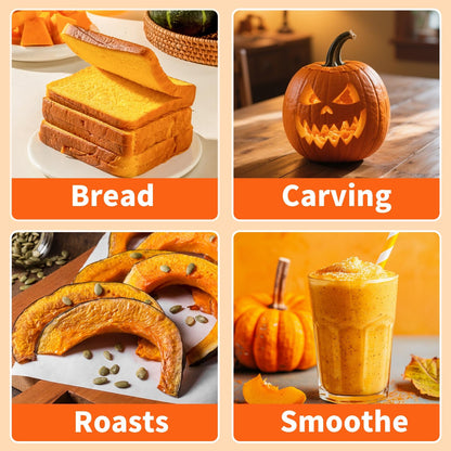 10 Variety Mix Pumpkin Seeds for Planting - 100 Heirloom Seeds, Baby Boo, Blue Jarrahdale, Jack Be Little, Jack O Lantern, Sugar Pie, Yellow Paris for Summer & Fall, Non GMO Pumpkin Seed