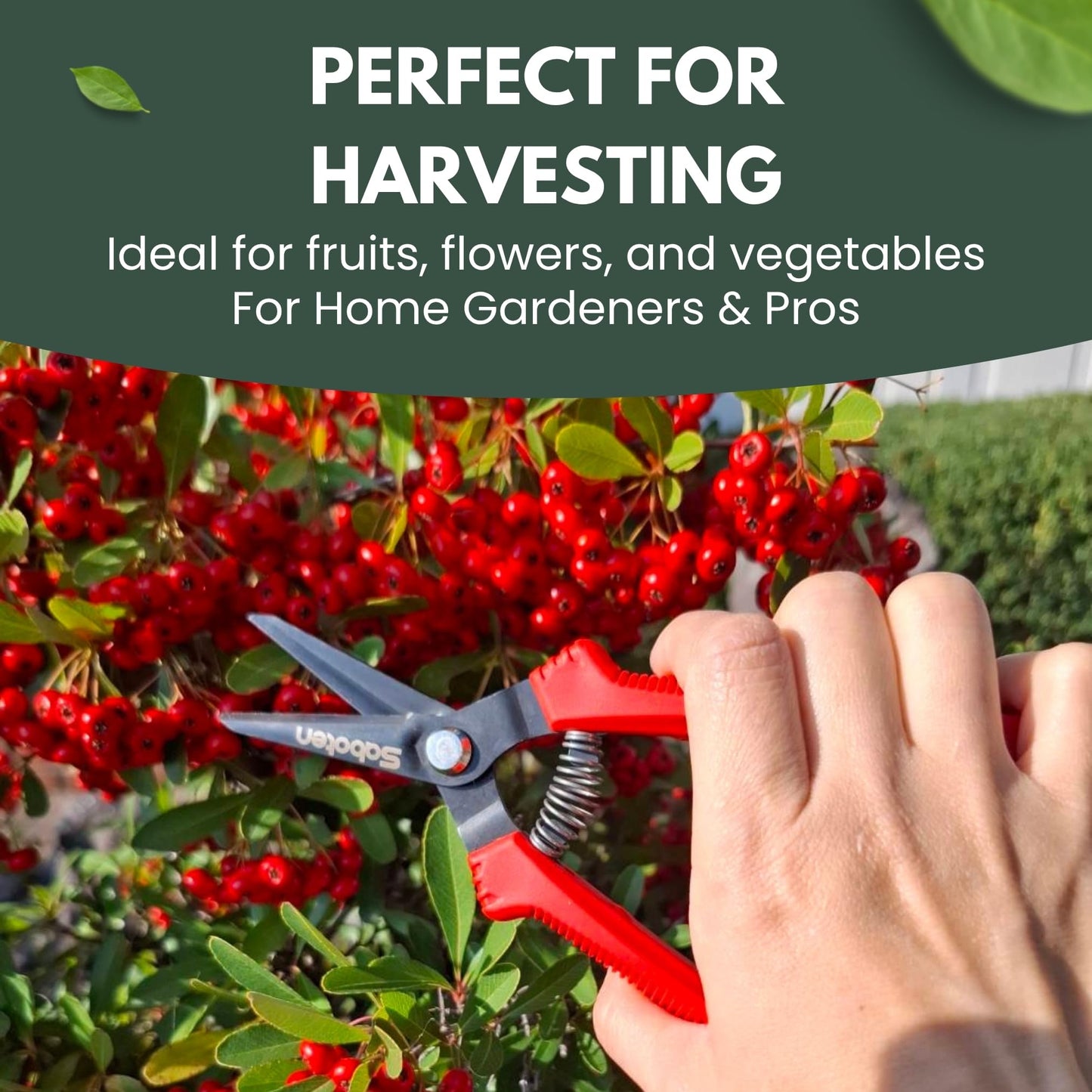 Saboten SD-8 Japanese Micro Tip Harvesting Snips, Ultra-Light 2.3 oz (65g) Pruning Scissors for Herbs, Flowers & Vegetables, HRC60 Blade Steel, Spring Action + Safety Lock, Made in Japan