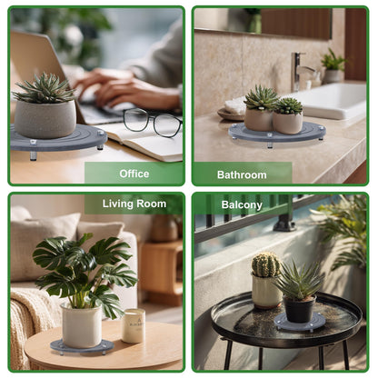 SeekElegant 2Pcs 8 Inch Plant Saucers for Indoors, Instant Dry Diatomaceous Earth Plant Saucer, Plant Trays for Pots with Stainless Steel Feet, Plant Water Catcher Tray, Gray