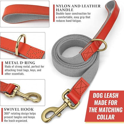 Dog Collar and Leash Set with Metal Quick Release Buckle, Adjustable, Breathable Nylon, Durable, Soft and Comfortable, No Pull for Walking and Training, Silver-Gray, L (14.9"-22.8")