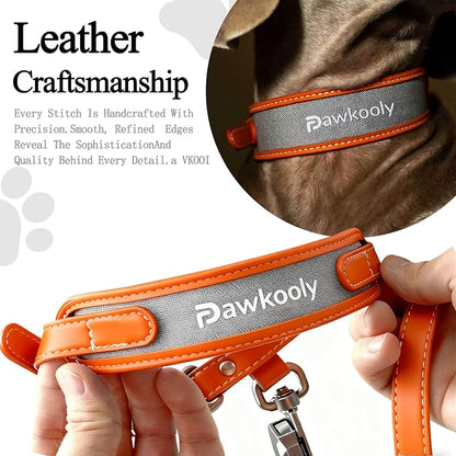 MagEase Dog Collar with 4FT Leash | Adjustable | Anti-Wrinkle, Bite & Stain-Resistant Leather | Soft & Skin-Friendly | 450LB Escape-Proof Magnetic Buckle (Orange, Medium)