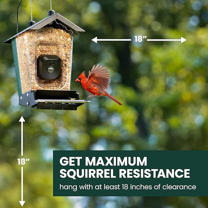 Perky-Pet Solar Powered Smart Bird Feeder with Camera - Squirrel-Resistant, 3.2L Capacity, Motion Activated 1080p HD WiFi Live Stream Camera, SPCAM, SPCAMSLR - Camera Feeder Gift Idea, Yellow