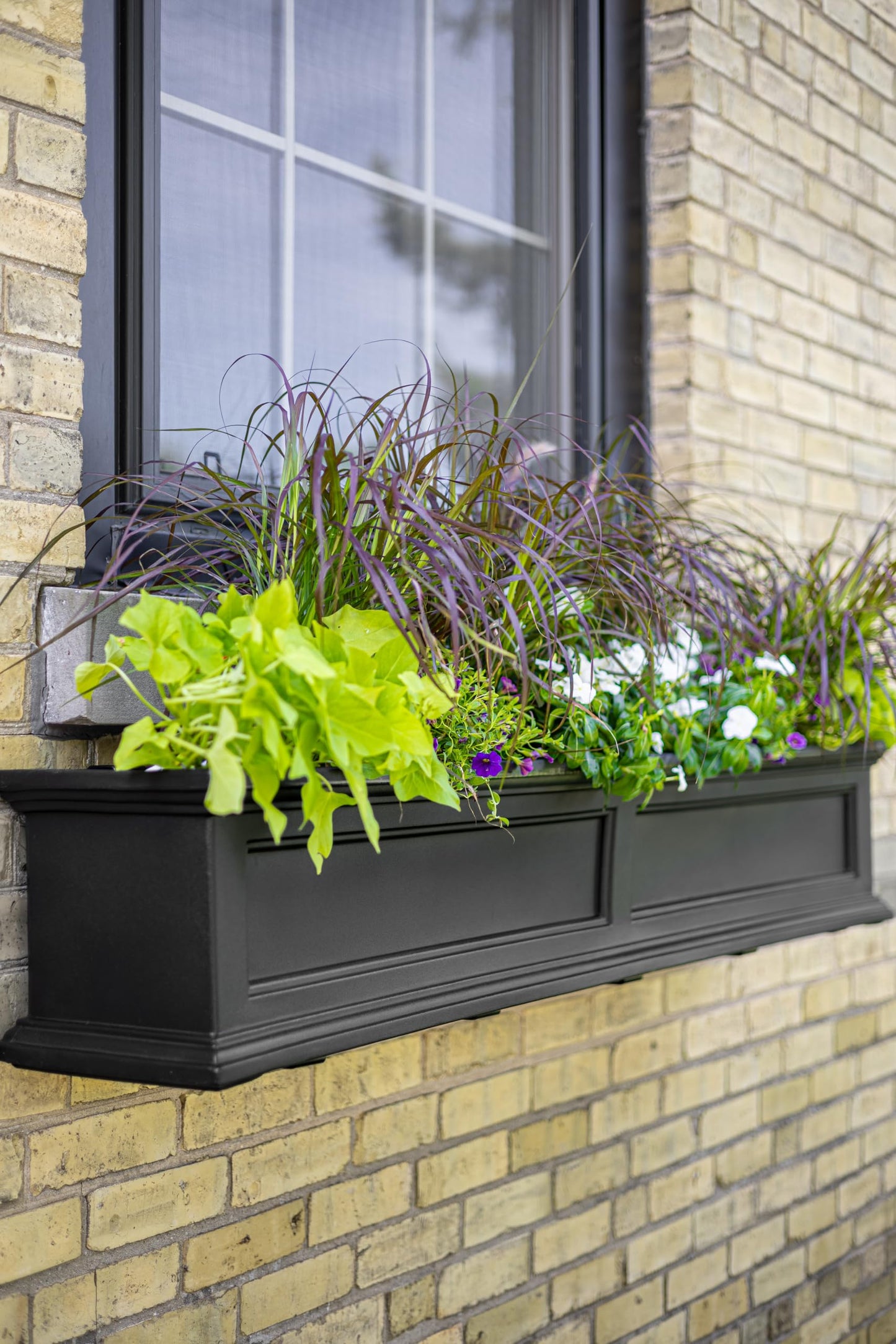Mayne Fairfield 4ft Window Box, Self Watering Flower Box with Double Wall Design, All Season Fade Resistant Outdoor Window Planter With Steel Mounting Bracket, Black