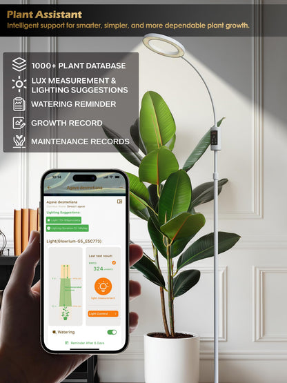 Smart Grow Lights for Indoor Plants, Plant Light with Auto-Timer, Full Spectrum LED Grow Light, Adjustable Height & Stepless Dimming,Plant Assistant Suitable for Most Plants (White, Single Head)