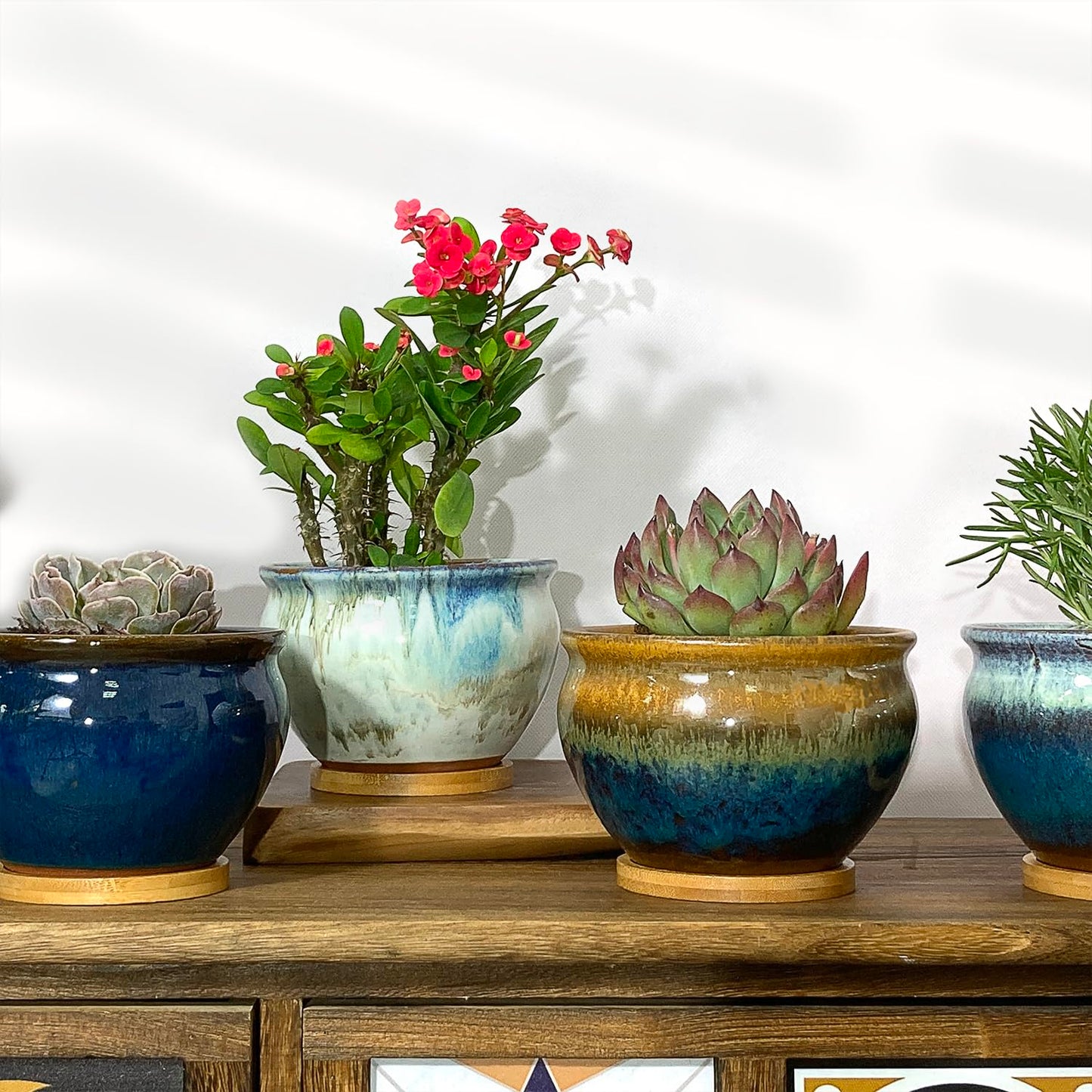 Summer Impressions 5.5 Inch Succulent Pot with Drainage and Saucer Glazed Terracotta Round Ceramic Succulent Planter Cactus Bonsai Plant Pot (Set of 4)