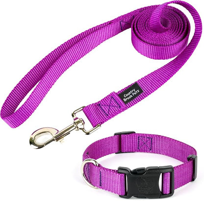Country Brook Petz - Everyday Nylon Dog Collar and Leash - 10+ Cool Colors (1 Inch, Extra Large, Bright Purple)