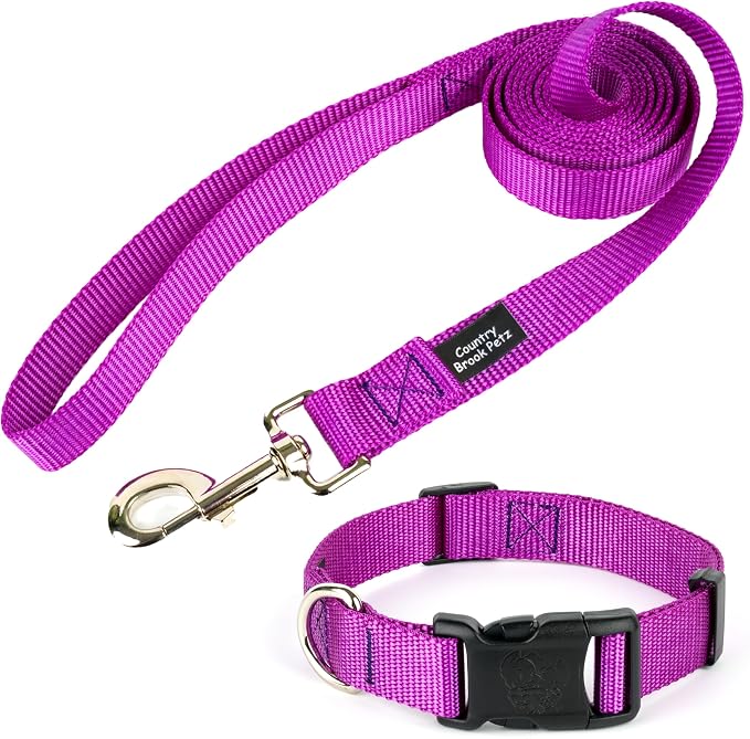 Country Brook Petz - Deluxe Nylon Dog Collar and Leash - 10+ Cool Colors (3/4 Inch, Small, Bright Purple)