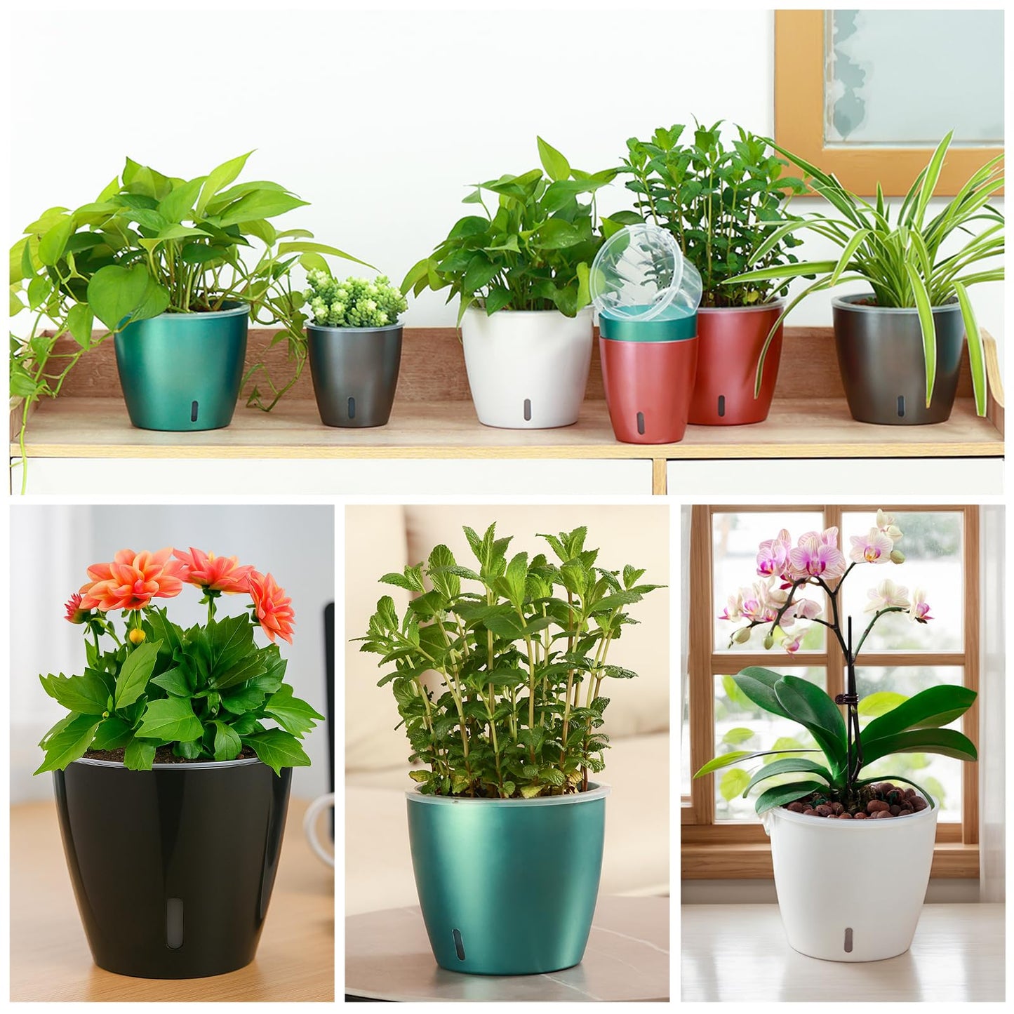 KvyusFlourish Self Watering Pots for Indoor Plants, 6-Pack 5'' Self Watering Planter with Drainage Holes, Small African Violet Pots with Water Indicator, Clear Wick Orchid Pot, Black