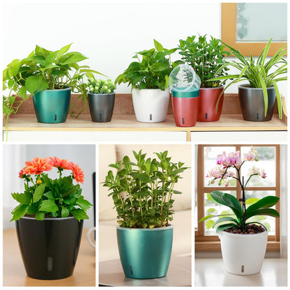 KvyusFlourish Self Watering Pots for Indoor Plants, 6-Pack 5'' Self Watering Planter with Drainage Holes, Small African Violet Pots with Water Indicator, Clear Wick Orchid Pot, Black