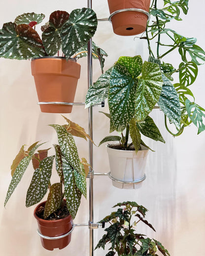 Adjustable Plant Shelf for Plant Stands - 5 Pack Flower Stand for Lamp Post, Plant Stands, Balcony Rail, Metal Plant Stand Indoor Outdoor Fits Poles Under 2cm in Diameter (Plant Holder 9/11/12cm)