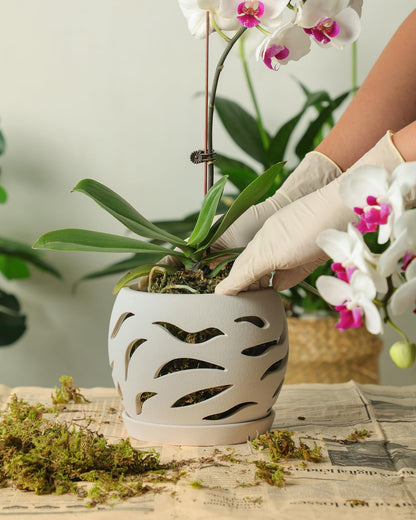 Fayoula Ceramic Orchid Pot with Holes & Saucers, 5.5 inch Plant pots for Indoor and Outdoor use, Wind-Worn Texture Cutout Promoting air Circulation and Drainage(Pots Only)