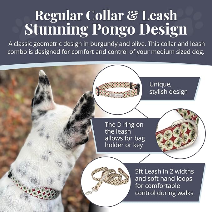Lucky Love Dog - Easy Click Buckle Dog Collar with Leash Set Combo, Durable & Comfortable for Male & Female Dogs, Pet Collar for Small Dogs, Secure Fit - Pongo Combo, Small