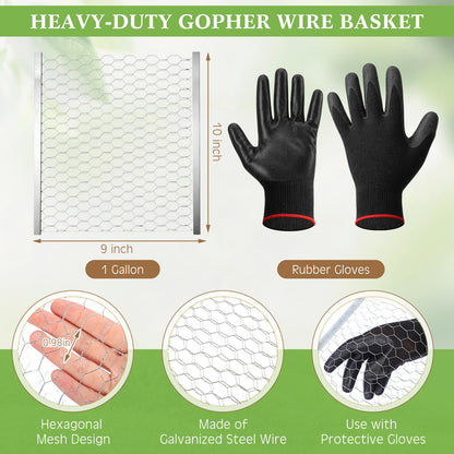 Yaocom 12 Pcs 1 Gallon Heavy Duty Gopher Wire Baskets Stainless Steel Hexagonal Galvanized Mesh Cages Gopher and Vole Wire Basket for Shrubs Vines Bushes Plant Root Protection