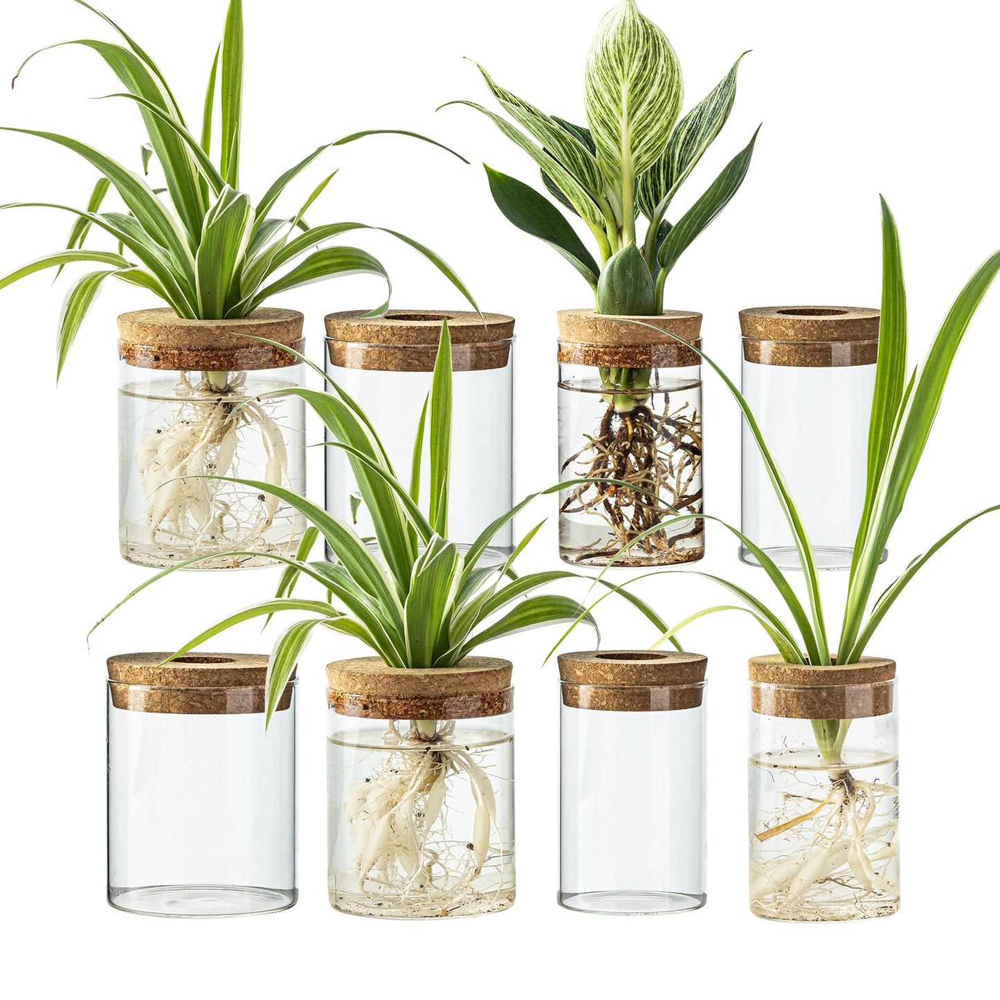 CHPINDAM Glass Propagation Stations for Plants -Desktop Flower Vases,Propagation Flower Vases Set – 2 Large & 2 Small for Plant Cuttings，for Living Room, Bedroom Decoration,Home,Office Decor (8)