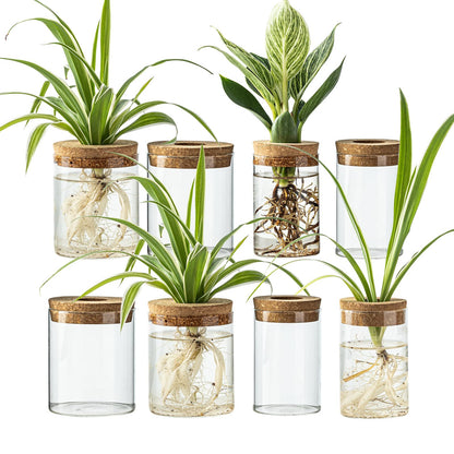 CHPINDAM Glass Propagation Stations for Plants -Desktop Flower Vases,Propagation Flower Vases Set – 2 Large & 2 Small for Plant Cuttings，for Living Room, Bedroom Decoration,Home,Office Decor (8)