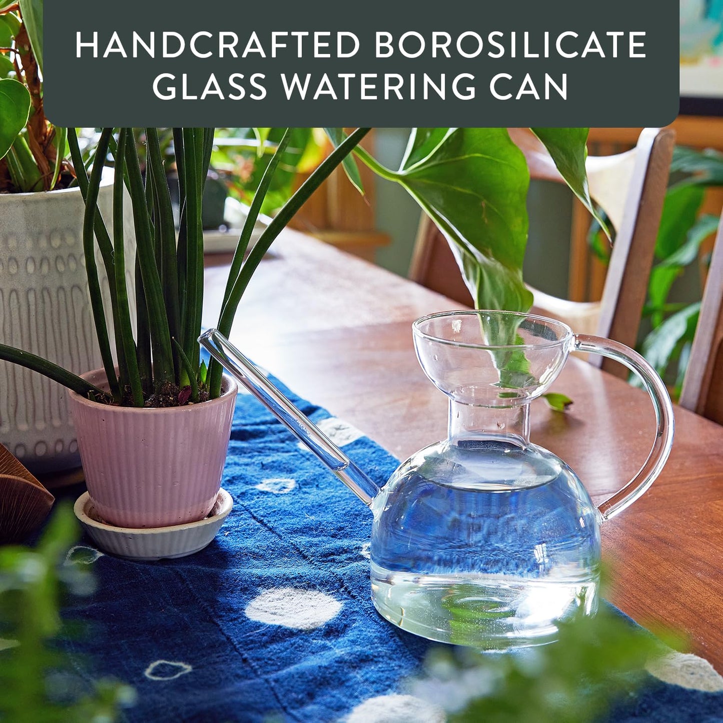 Modern Sprout Plant Watering Can - Handcrafted from Borosilicate Glass - Long Spout Vessel for Indoor Plants - 32 Oz Capacity - Multipurpose Watering Can and Flower Vase for Houseplants (Clear)