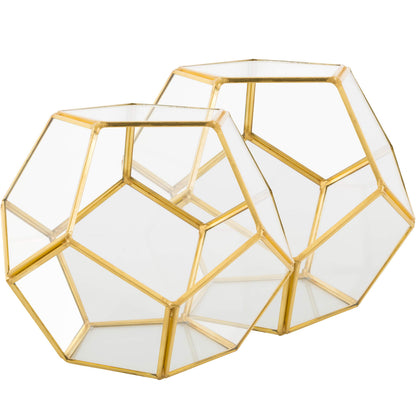D'Eco Glass Geometric Plant Terrarium (Set of 2) - Indoor Tabletop Gold Sphere Planter Terrarium - Succulents, Air Plants, Moss - Home Garden Office Wedding Decor - Gift Idea for Plant Lovers