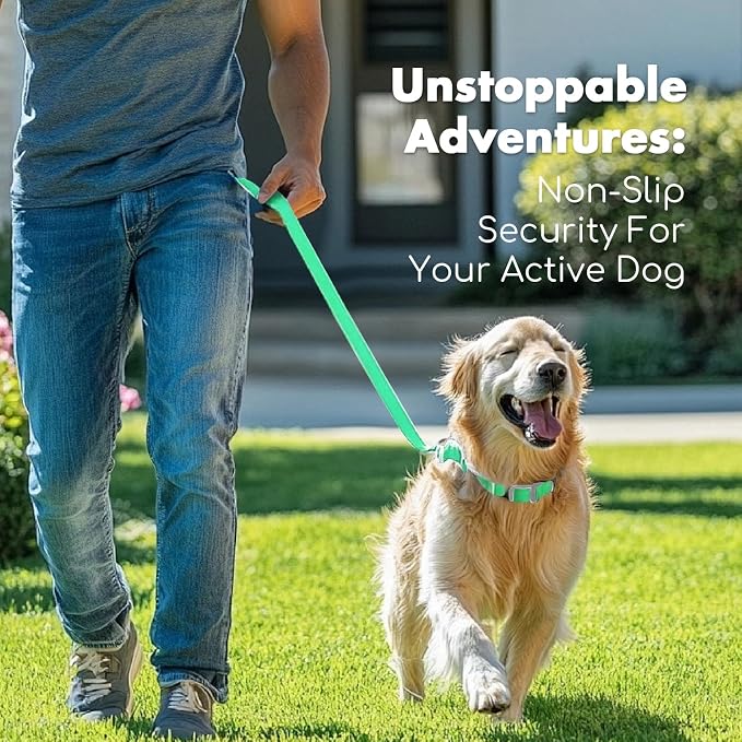4.2FT Dog Collar and Leash Set, PVC Waterproof Adjustable Odor Proof Pet Collars Leashes, Easy to Clean, Surface 3D Cube Effect, Dog Leash for Small Dogs, Light Green
