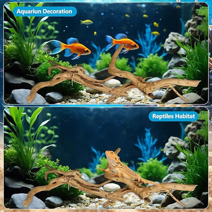 2 PCS Large Natural Spider Wood for Aquarium 12-16", Aquarium Drift Wood, Assorted Size Spider Wood, Twisted Branches Trunk for Fish Tank, Aquascaping, Reptile Climbing Branch, Terrarium Decor