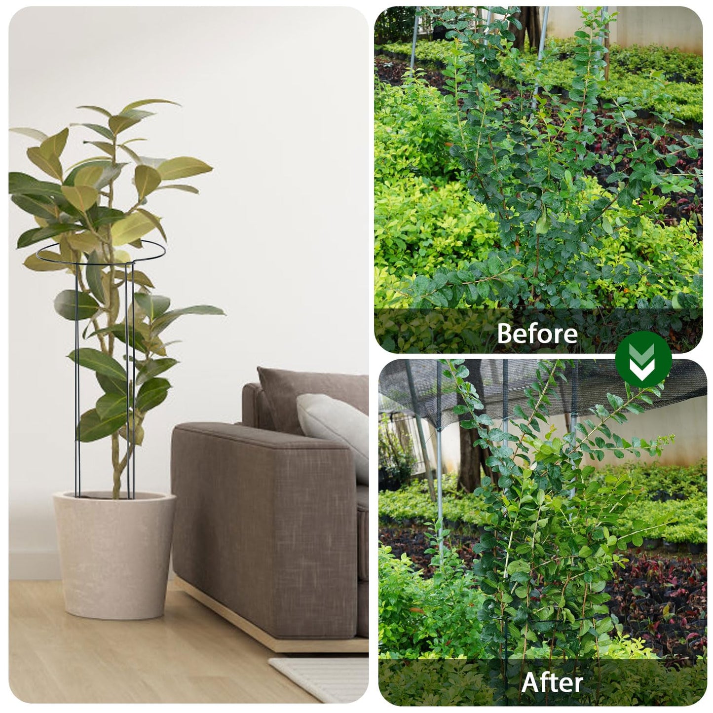 Linyona 32 inch Plant Support Stakes, 10 Pack Half Round Metal Garden Plant Stake Heavy-Duty Plant Support Ring and Cage with Plant Clip & Twist Tie for Indoor and Outdoor Plants, Vegetable, Flowers