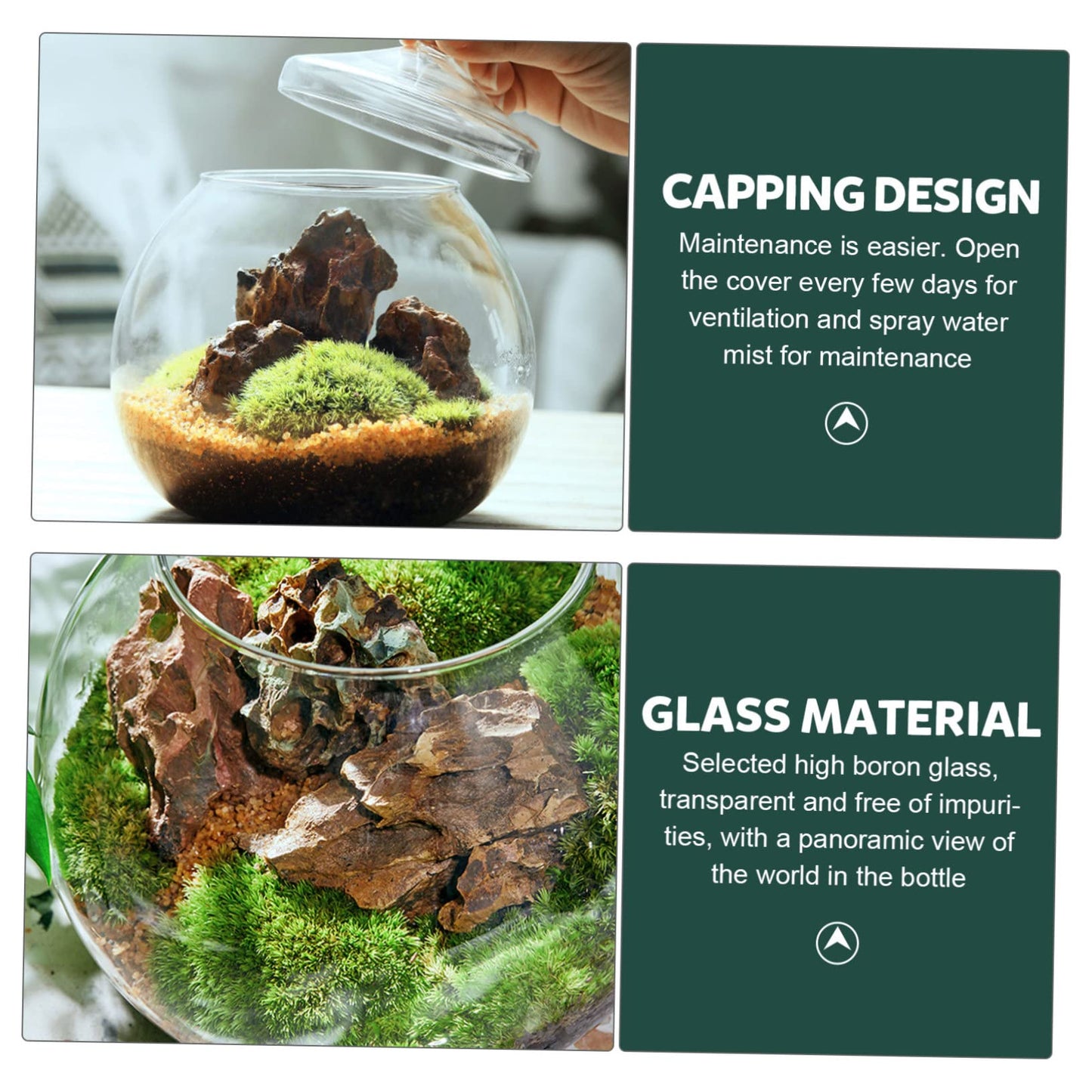 Glass Plant Terrarium Lid Eco Bottle Terrarium Jars Moss Ball Decorative Vase Style