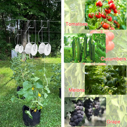 Hidbot Tomato Support Hooks with String,10 Pack Tomato Trellis Roller Hooks with 49.2FT String for Plant,Greenhouse Tomato Flower Vine Twine Crop Trellis Kit Tomato Plant Roller Hook