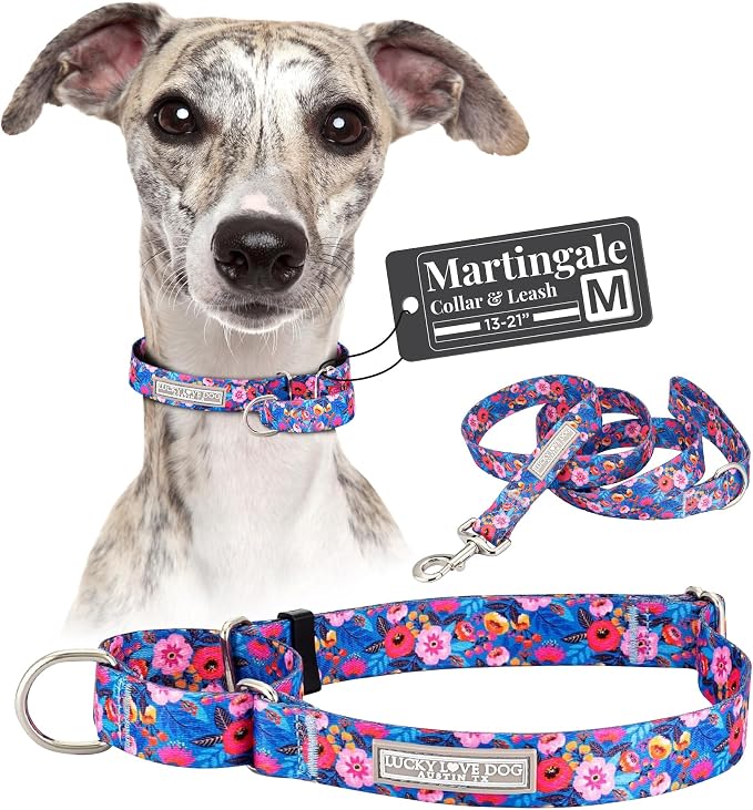 Lucky Love Dog Martingale Dog Collar & Leash - Adjustable, No-Slip, Durable, Comfortable, Soft Webbing, & Stylish Patterned Collar & Leash Set for Male and Female Dogs - Zuzu Combo, Medium