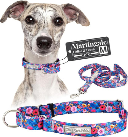 Lucky Love Dog Martingale Dog Collar & Leash - Adjustable, No-Slip, Durable, Comfortable, Soft Webbing, & Stylish Patterned Collar & Leash Set for Male and Female Dogs - Zuzu Combo, Medium
