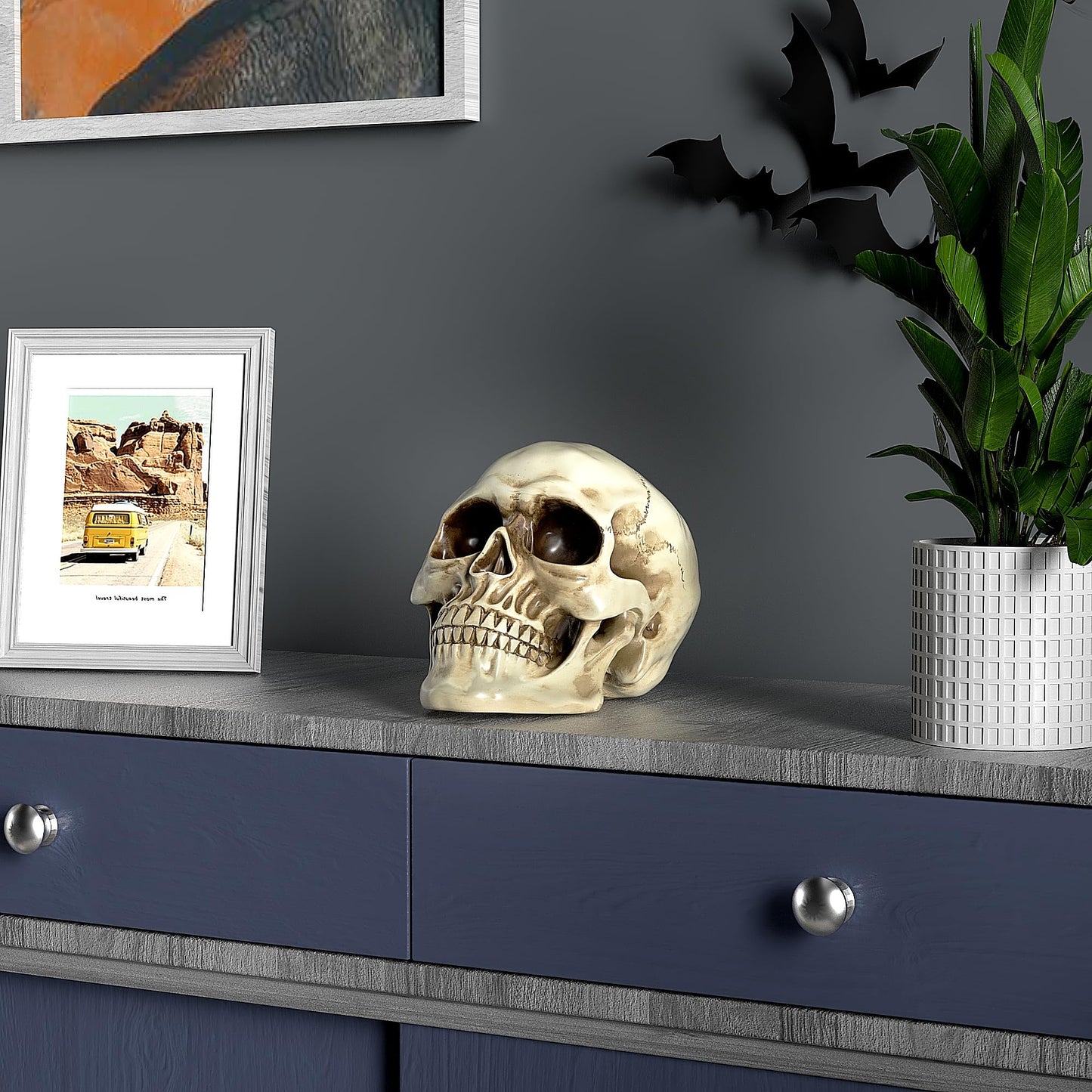 READAEER Life Size Resin Skull, Large Size Adult Skull Head Model for Home Decoration, Halloween Skull Statue, Human Skull Head Model (White)