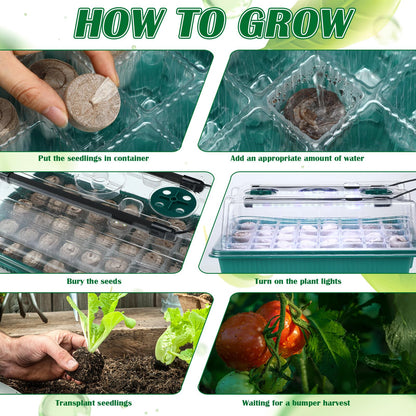 FillTouch 2 Packs 80 Cells Seed Starter Trays Kit with 4 Grow Light Seed Starter Kit Seedling Starter Trays with Humidity Dome and 80 Pcs Peat Pellet for Garden Seeds Propagation Seedlings
