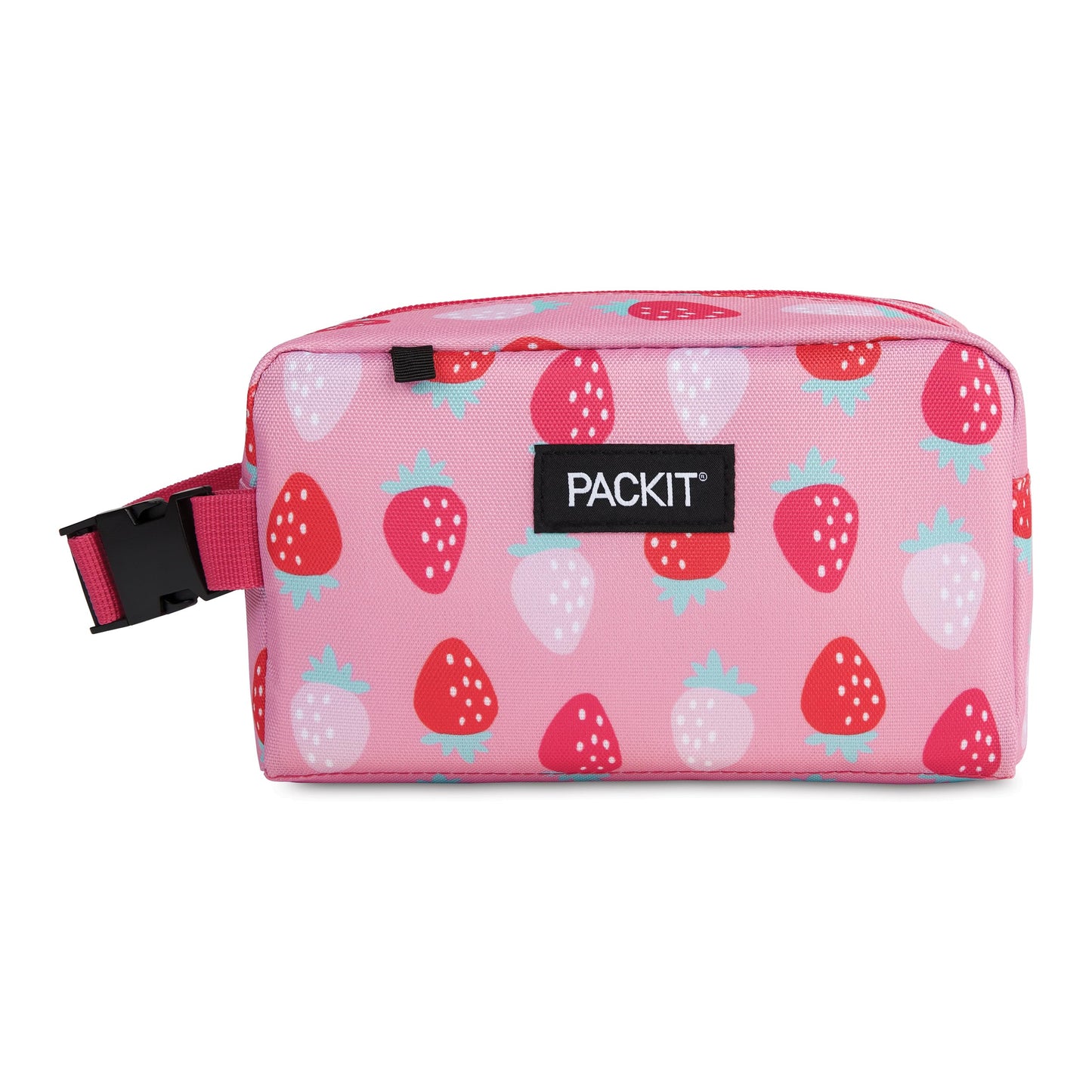 PackIt® Freezable Snack Box, Checked Out, Built with ECOFREEZE Technology, Collapsible, Reusable, Zip Closure with Buckle Handle, Designed For Work Snacks, Fresh Snacks On the Go, Adults, and All Ages
