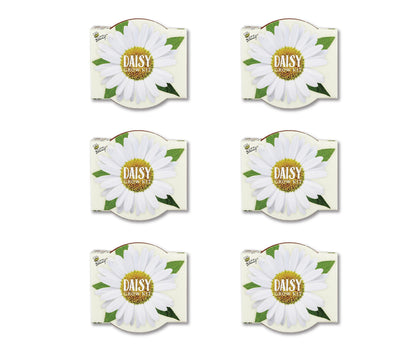BUZZY Seeds Daisy Daydream Collection Mini Terracotta Grow Pots 6-Pack, All-in-One Starter Kit with Seed Packs and Growing Medium, Wedding Favors, Gardening Gifts, Garden Parties