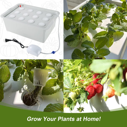 MAOPINER Indoor Hydroponic Grow Kit with Bubble Stone, 12 Sites (Holes) Bucket, Air Pump, Sponges - Best Indoor Herb Garden - Grow Fast at Home