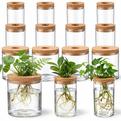 Acellegic 12 Pack Plant Propagation Station with Hole Lid Plant Propagation Jars Plants Plastic Propagations Stations Planter Vase Hydroponic Vases for Home Desktop Office Decoration, 3 Sizes