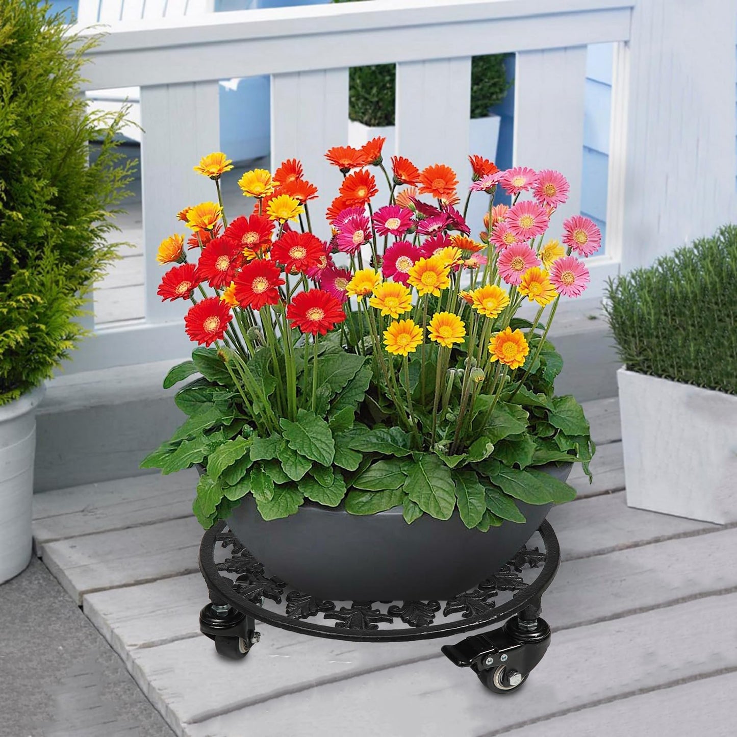 GARGENTOL Rolling Plant Stand with Wheels, 1 Pack Heavy Duty Metal Plant Caddy 11 Inch Wrought Iron Plant Dolly Outdoor Round Plant Rollers Stand for Large Potted Plants and Flower Pot, Black