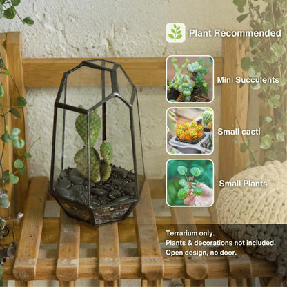 NCYP Small No Door Geometric Terrarium - 4.1" x 3.5" x 5.9" Miniature Irregular Glass Terrarium Planter for Mini Succulent Air Plants - Tabletop Garden Container, Black (No Plants)