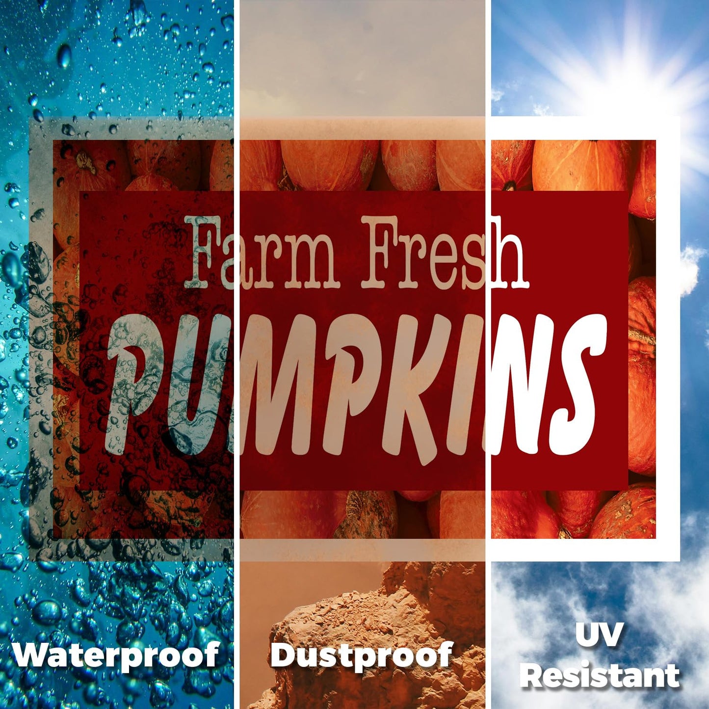 Farm Fresh Pumpkins Yard Sign 2 Pack of 12 Inch x 16 Inch Double Sided Weatherproof Heavy-Duty Plastic with Stake | Seasonal Favorites, Local Farms, Freshly Picked | Made in USA