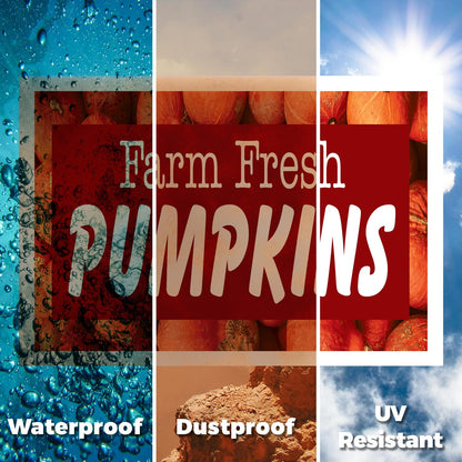 Farm Fresh Pumpkins Yard Sign 2 Pack of 12 Inch x 16 Inch Double Sided Weatherproof Heavy-Duty Plastic with Stake | Seasonal Favorites, Local Farms, Freshly Picked | Made in USA