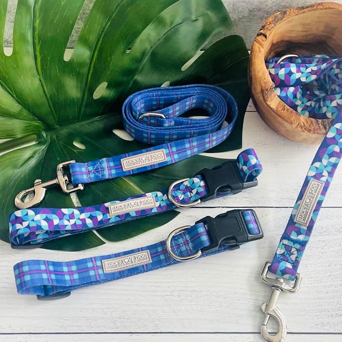 Lucky Love Dog - Adjustable Dog Collar with Easy Click Buckle for Small Dogs, Durable, & Comfortable for Male & Female Dogs, Pet Collar for Puppies & Adult Ones - Jasper, XS