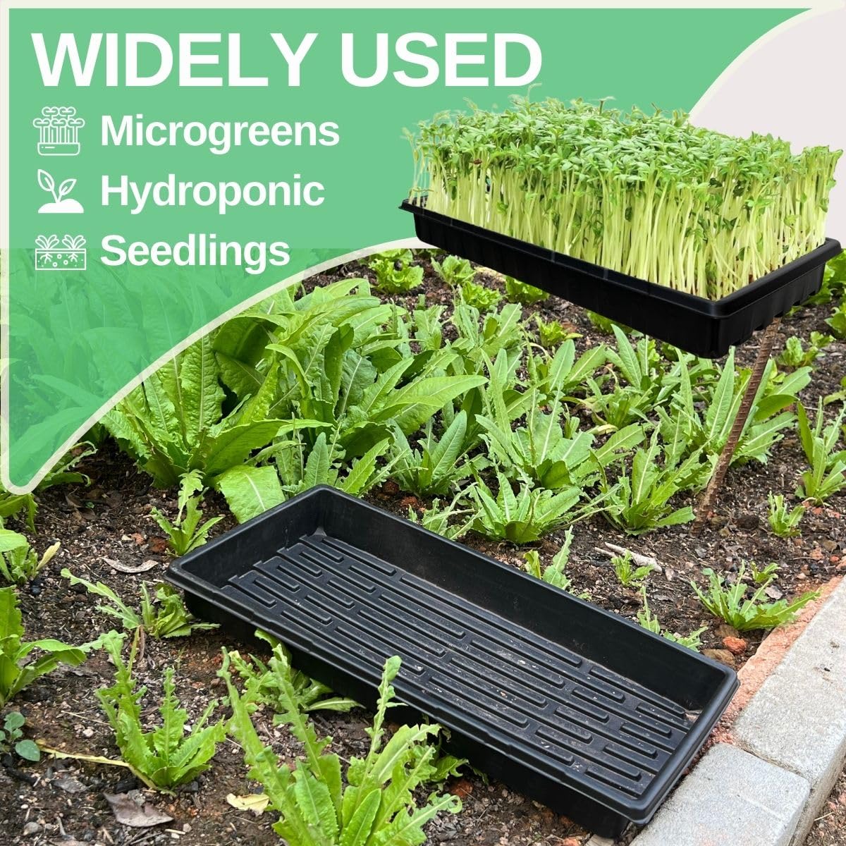 ILITING Standard 1020 Tray Sturdy Plant Growing Trays Plastic Seed Starter Tray for Microgreens Heavy Duty Seedling Trays No Drainage Holes 5 Pack