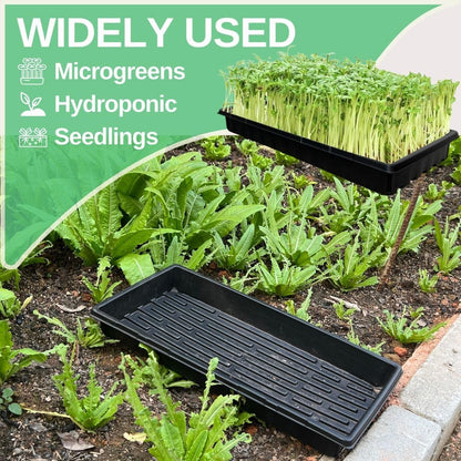 ILITING Standard 1020 Tray Sturdy Plant Growing Trays Plastic Seed Starter Tray for Microgreens Heavy Duty Seedling Trays No Drainage Holes 5 Pack