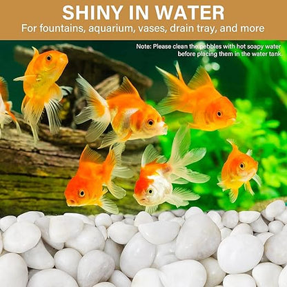 NUPICK 6lb White River Rocks for Plants Indoor, 2-3Inch White Pebbles for Vases Fillers, Decorative Gravel for Fish Tank, Natural Polished Stones for Succulent, Bonsai, Landscaping, Bird Baths