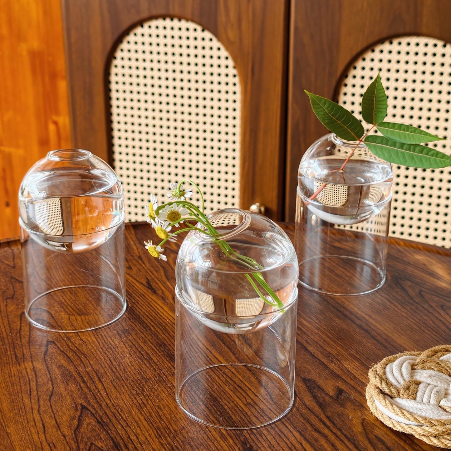 3-Pack Glass Plant Propagation Station, Planter Hydroponics Vase, Clear Glass Vase Set | Bud Vase & Mini Terrarium with Removable Base
