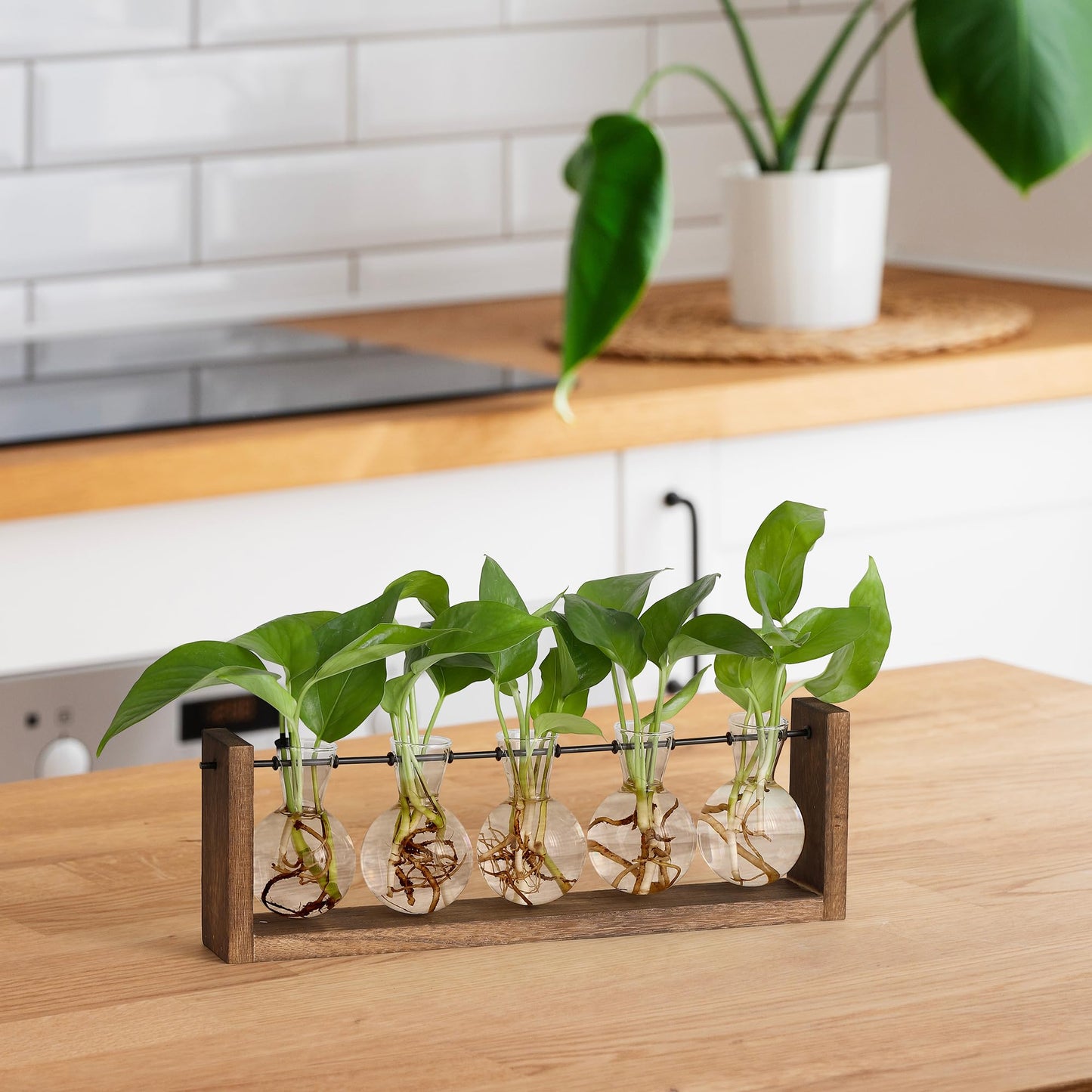 YIBOT Wall Hanging Glass Planter Plant Propagation Vase for Indoor Home Office Living Room Decor Gifts, Plant Terrarium with Wooden Stand-5 Bulb Glass Vases