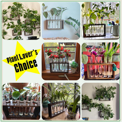 XXXFLOWER Plant Propagation Station,Plant Terrarium Wooden Stand with 5 Test Tubes,Glass Planters for Indoor Plants,Plant Lover Gifts for Women Mom Wife Daughter,Garden Office Room Decoration