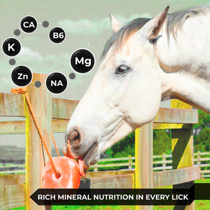Pacific Pelican Himalayan Pink Salt Licks for Animals – Natural Salt Block with Rope for Horses, Cows, Deer & More – No Harmful Elements - Approximately 9 lbs (Pack of 2)