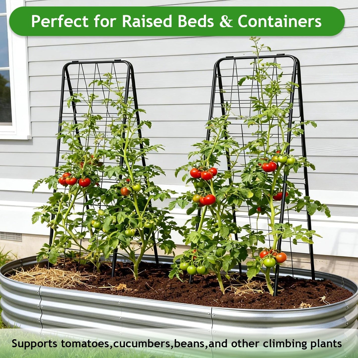 2 Pack Heavy Duty Adjustable A-Frame Garden Trellis for Climbing Plants 50"x17" , Reinforced Metal Plant Support for Raised Beds, Ideal for Tomatoes, Cucumbers & Outdoor Vines (Black)